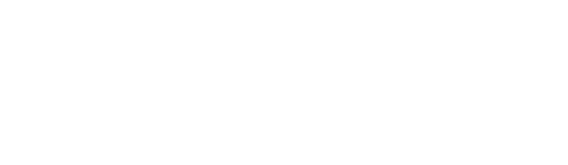 Niagara Launcher Niagara Launcher